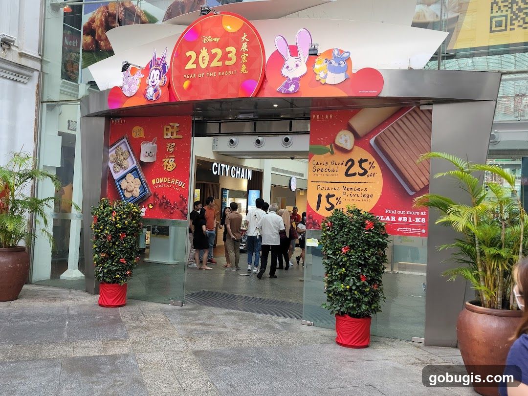 Chinese New Year Decorations and Promotions