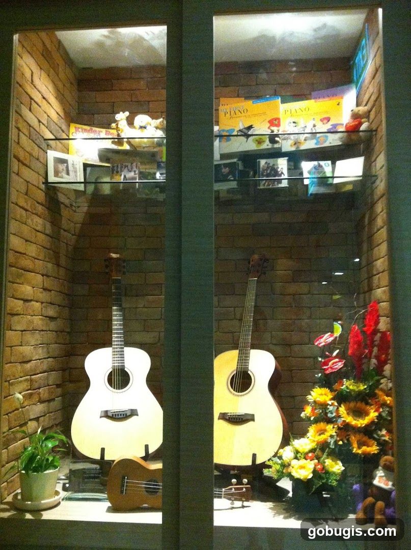 Musical Instruments and Decor Display