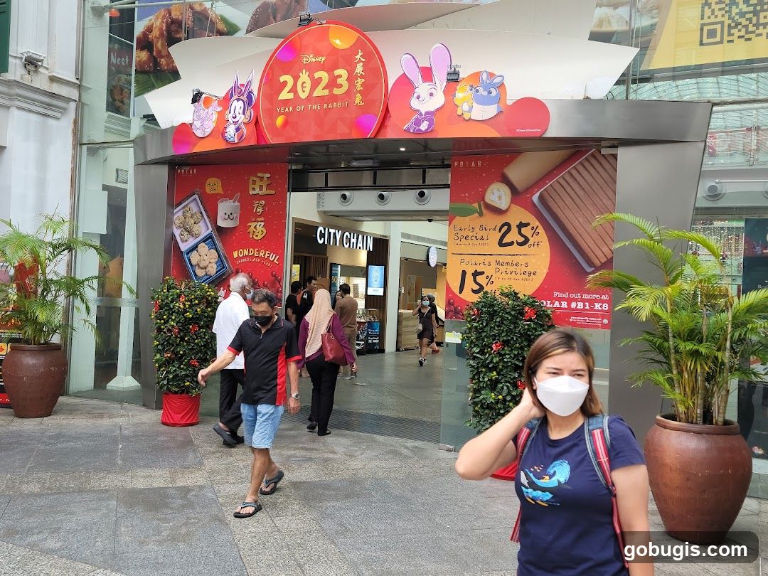 Chinese New Year Decorations and Promotions
