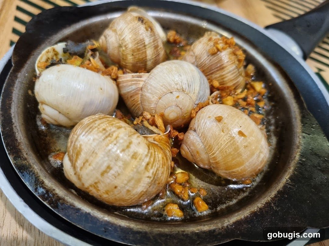 Escargots in Garlic Butter