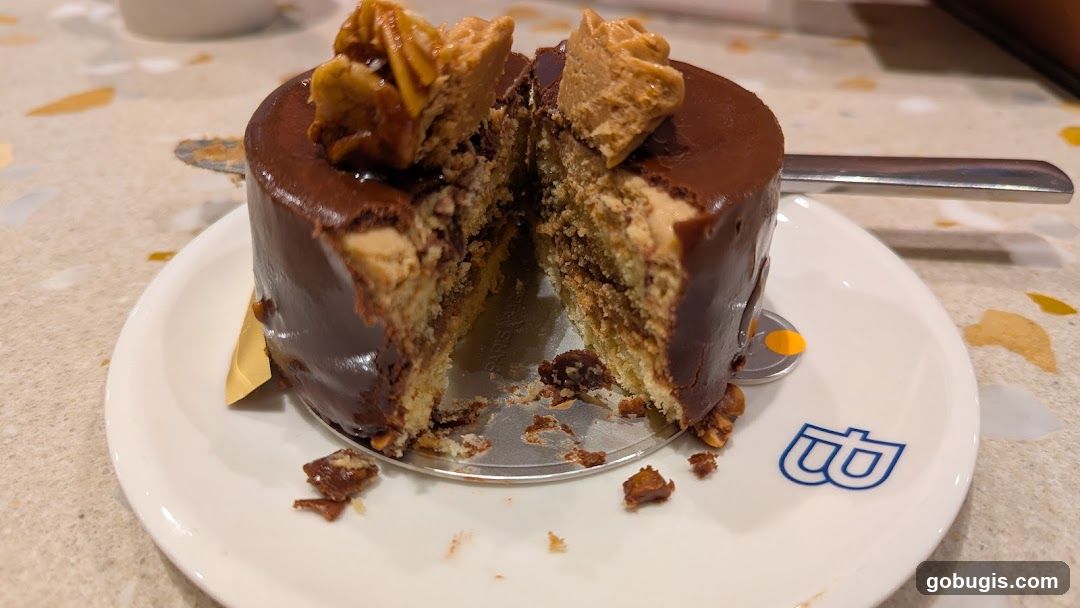 Chocolate Cake Slice