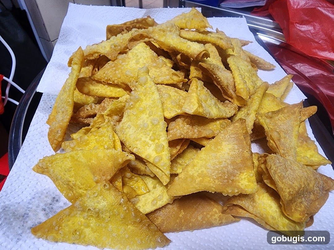 Fried Wontons