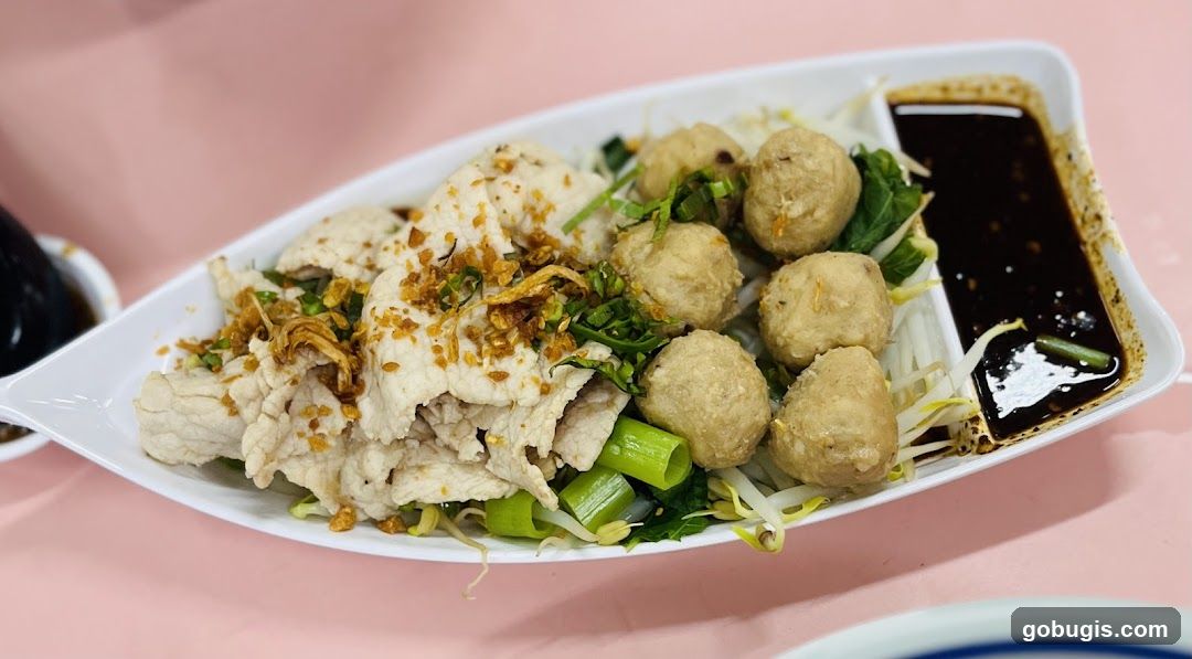 Pork and Meatball Noodles
