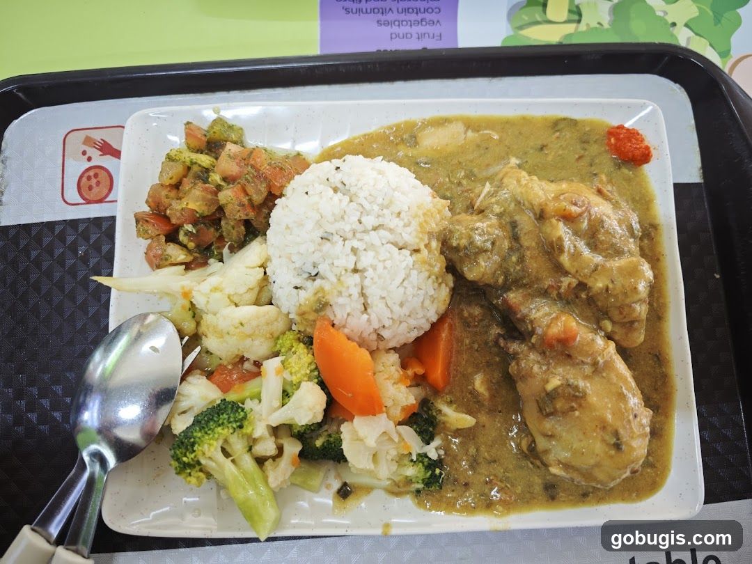 Chicken Curry with Rice and Vegetables