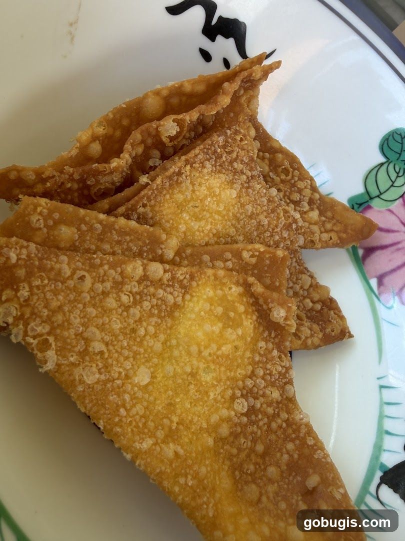 Fried Wontons