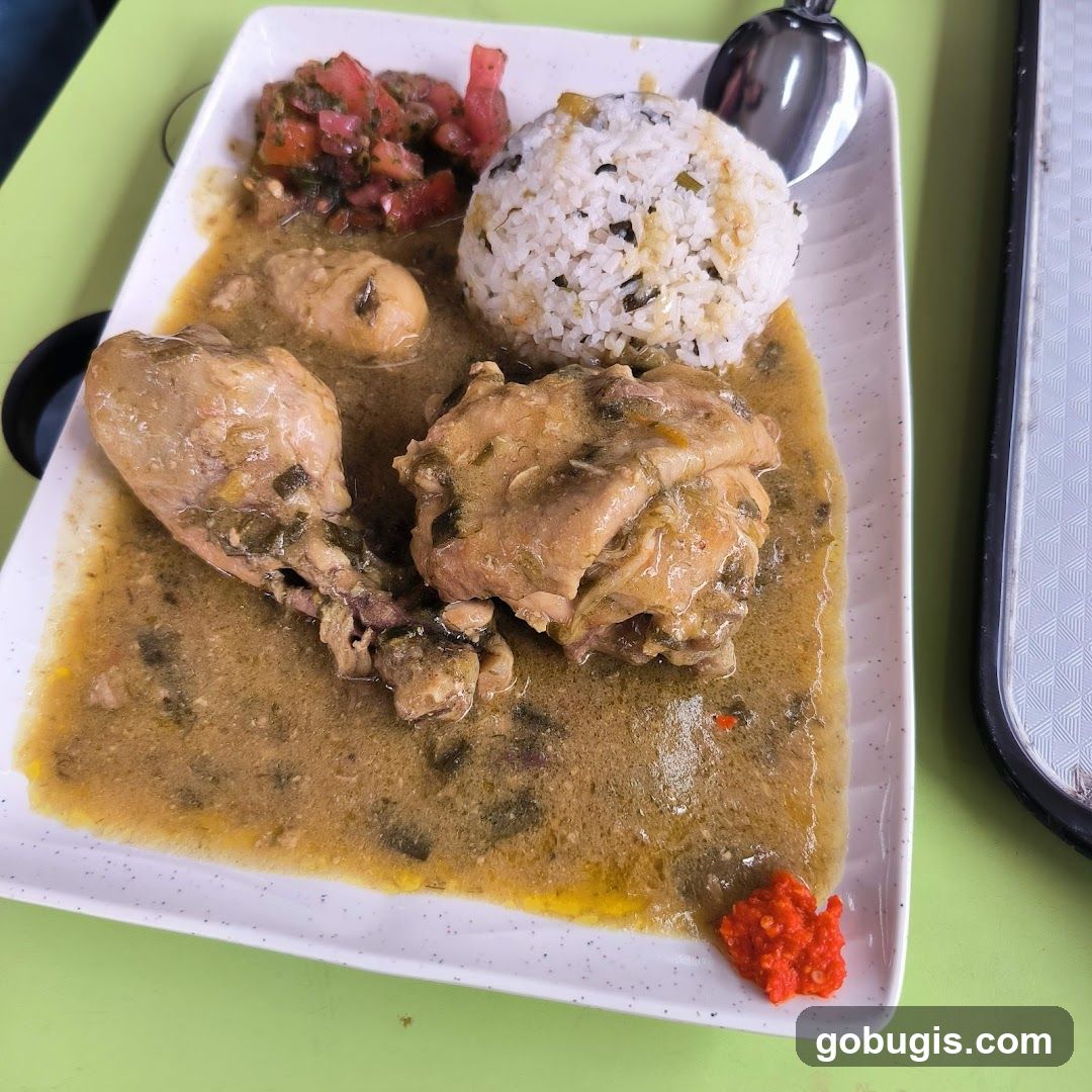 Chicken Stew with Rice and Salsa