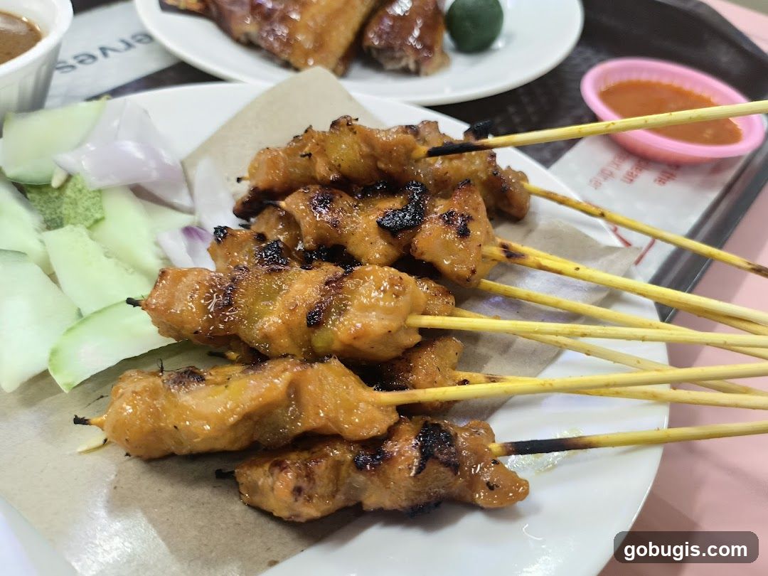 Chicken Satay with Cucumber and Onion