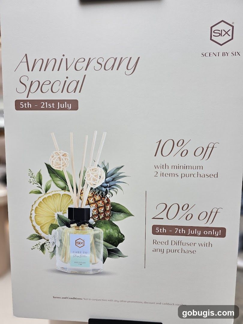 Anniversary Special Promotion