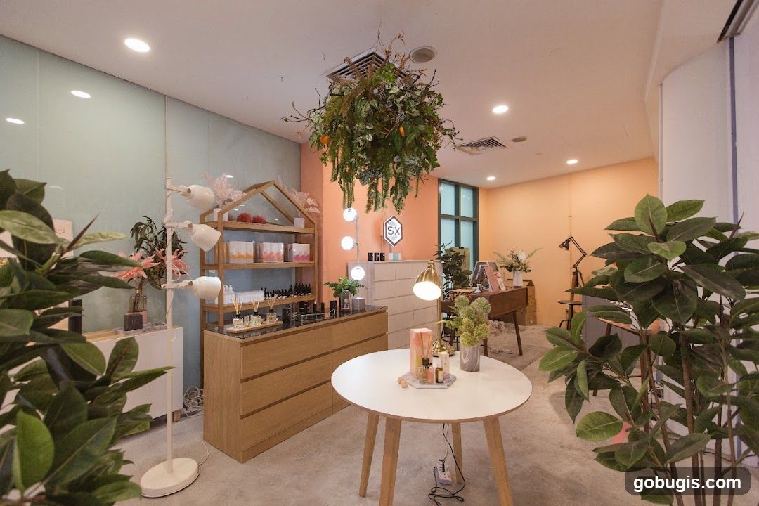Interior of a retail store with plants and products