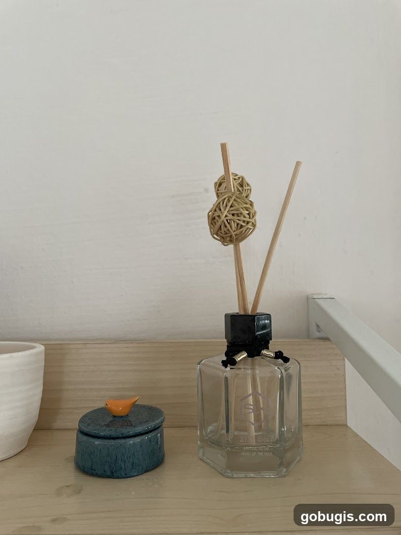 Reed Diffuser and Trinket Box