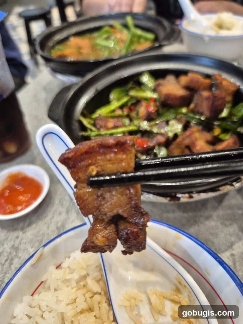 Braised Pork Belly with Vegetables and Rice