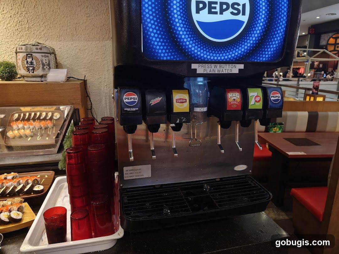 Beverage Dispenser and Sushi