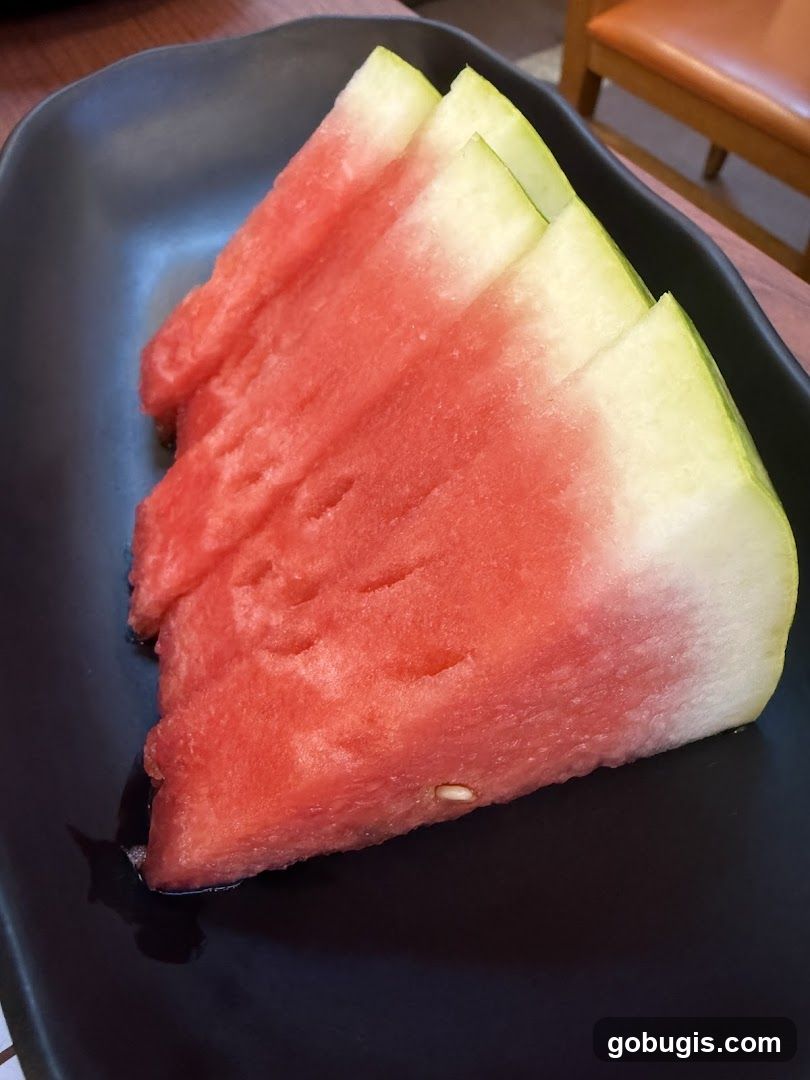Watermelon Slices