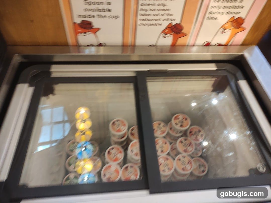 Ice Cream Freezer