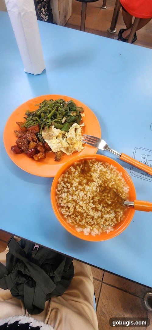 Meal with Rice and Vegetables