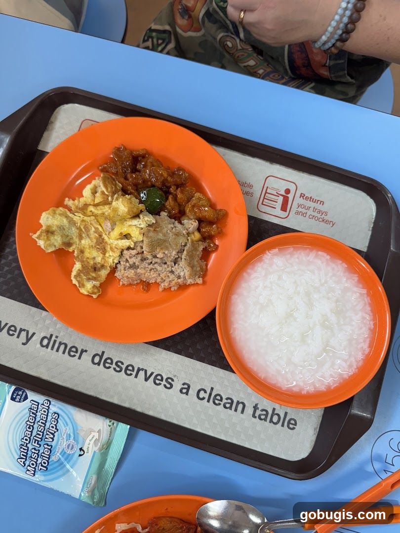 Food Tray with Meal