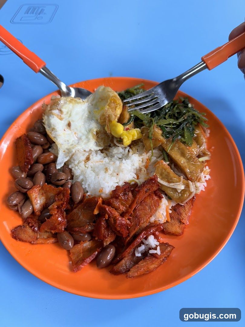 Plate of Rice with Various Toppings