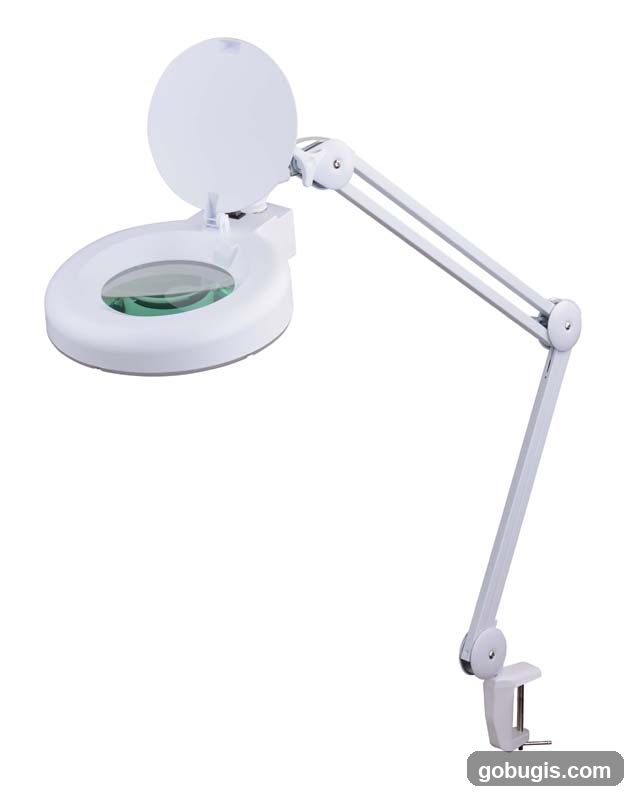 Magnifying Lamp