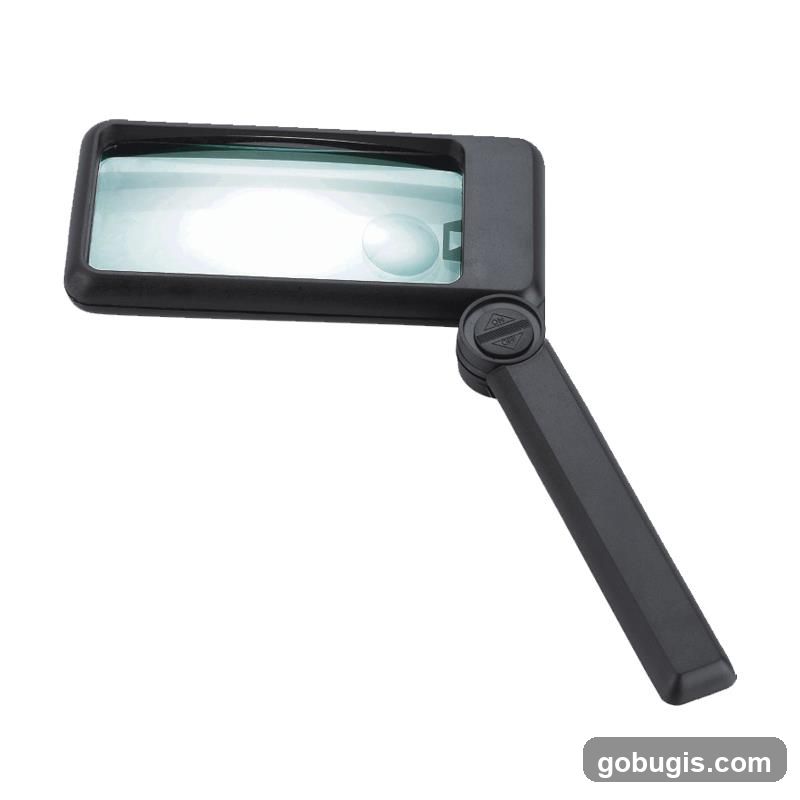 Magnifying Glass