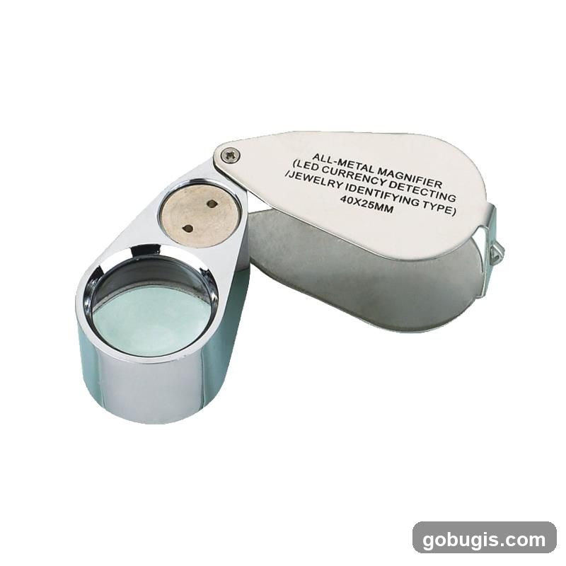 Magnifier