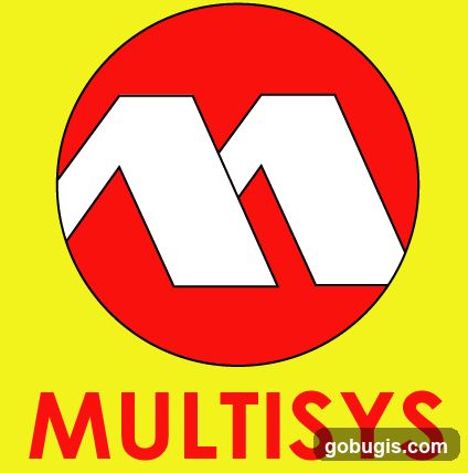 Multisys Computronics