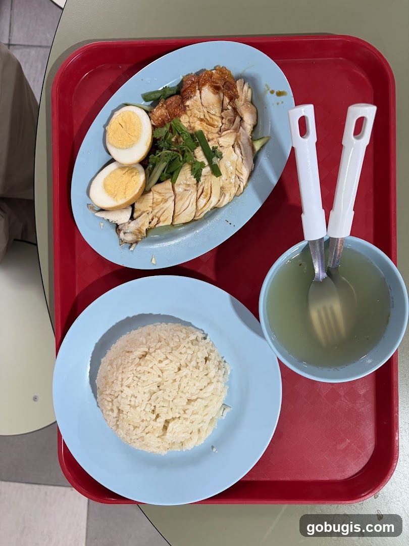 Yi Pin Xiang Chicken Rice (#01-49)