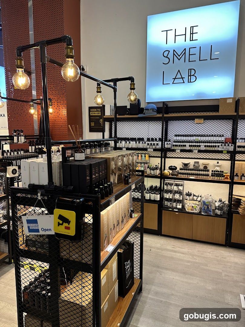 The Smell Lab Store Interior