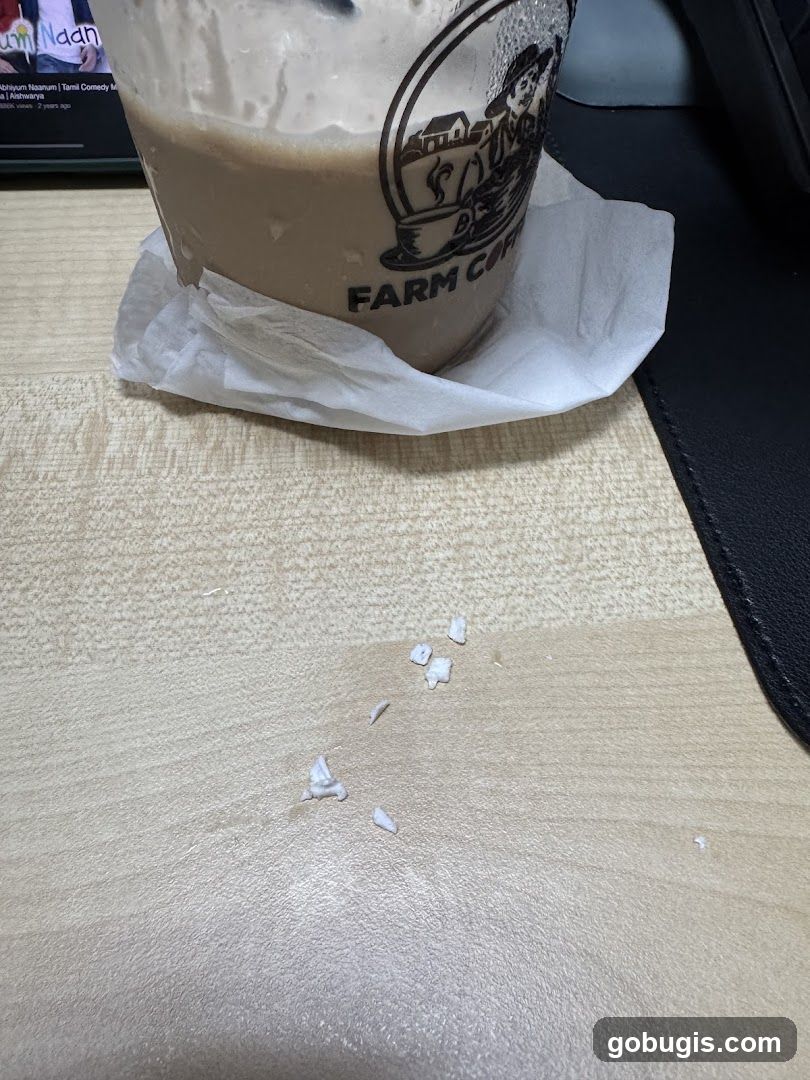 Iced Coffee Drink