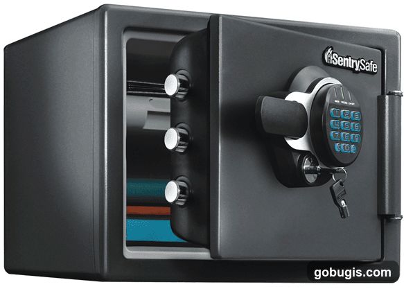 SentrySafe Digital Lock Safe