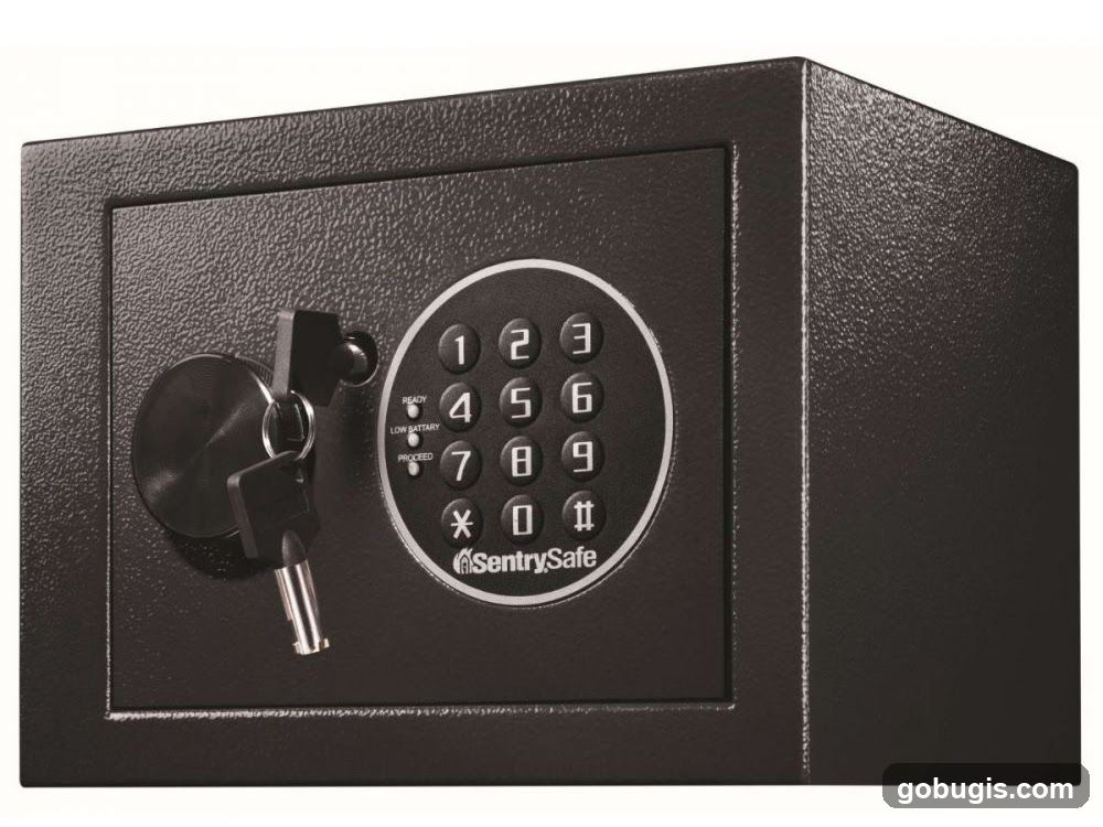 SentrySafe Digital Safe
