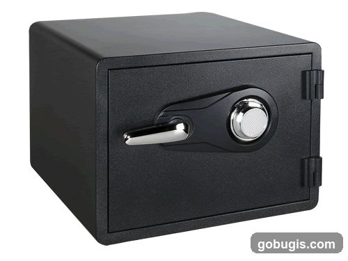 Black Safe