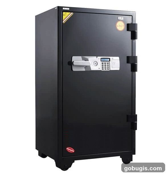 Black Safe