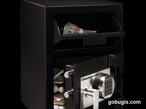 SentrySafe with Money