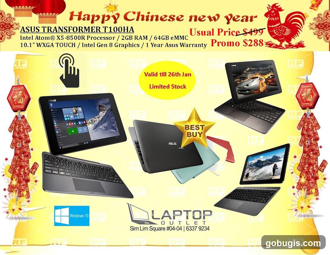 Happy Chinese New Year Sale