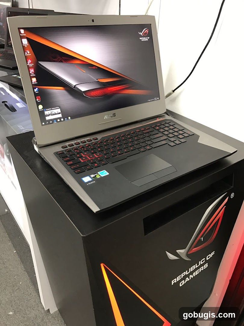 Gaming Laptop Display