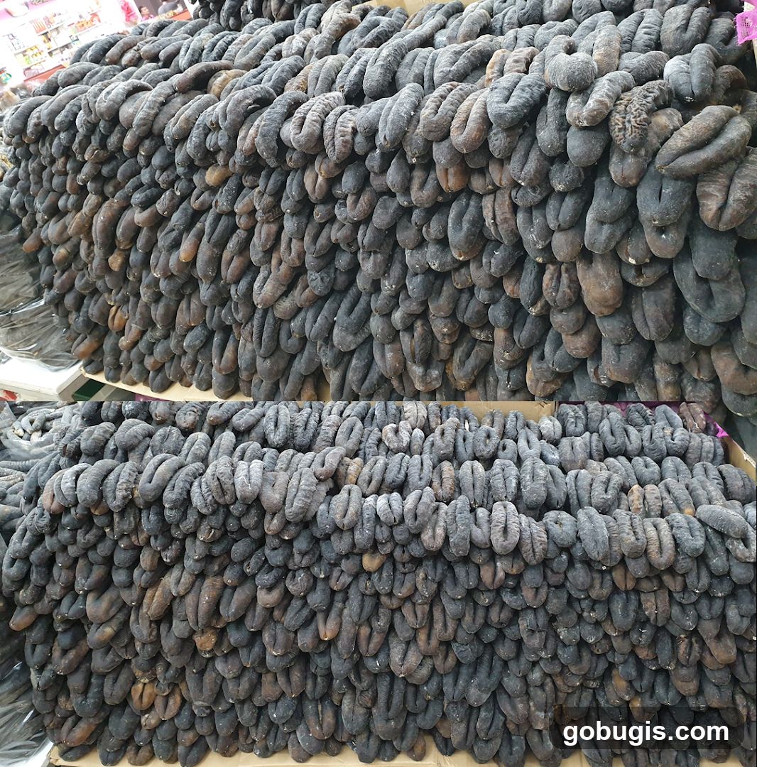 Dried Sea Cucumbers