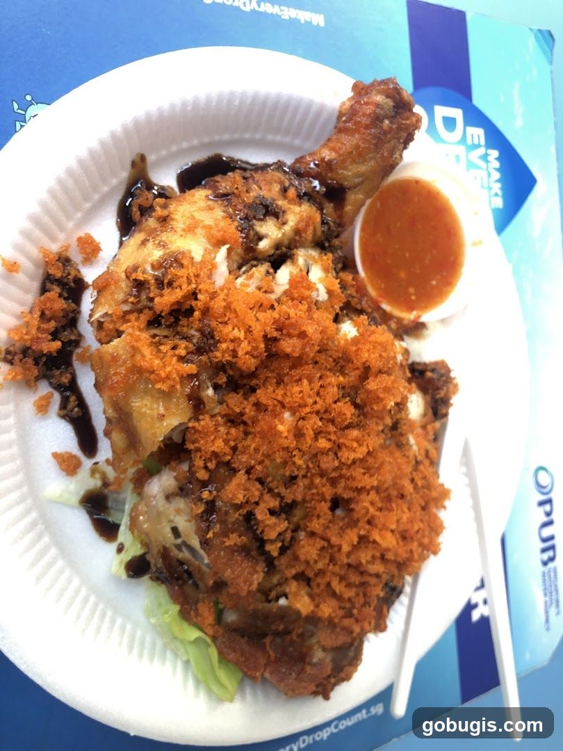Nasi Lemak and Chicken Rice Hipster