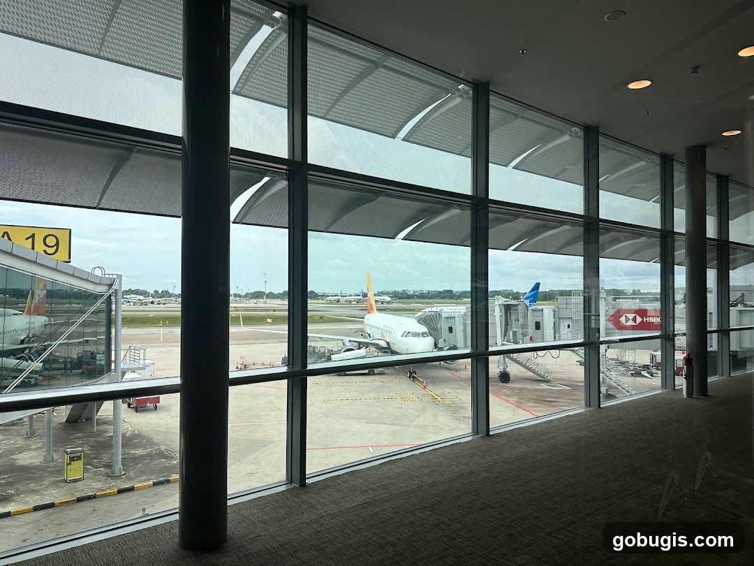 Airport Gate View