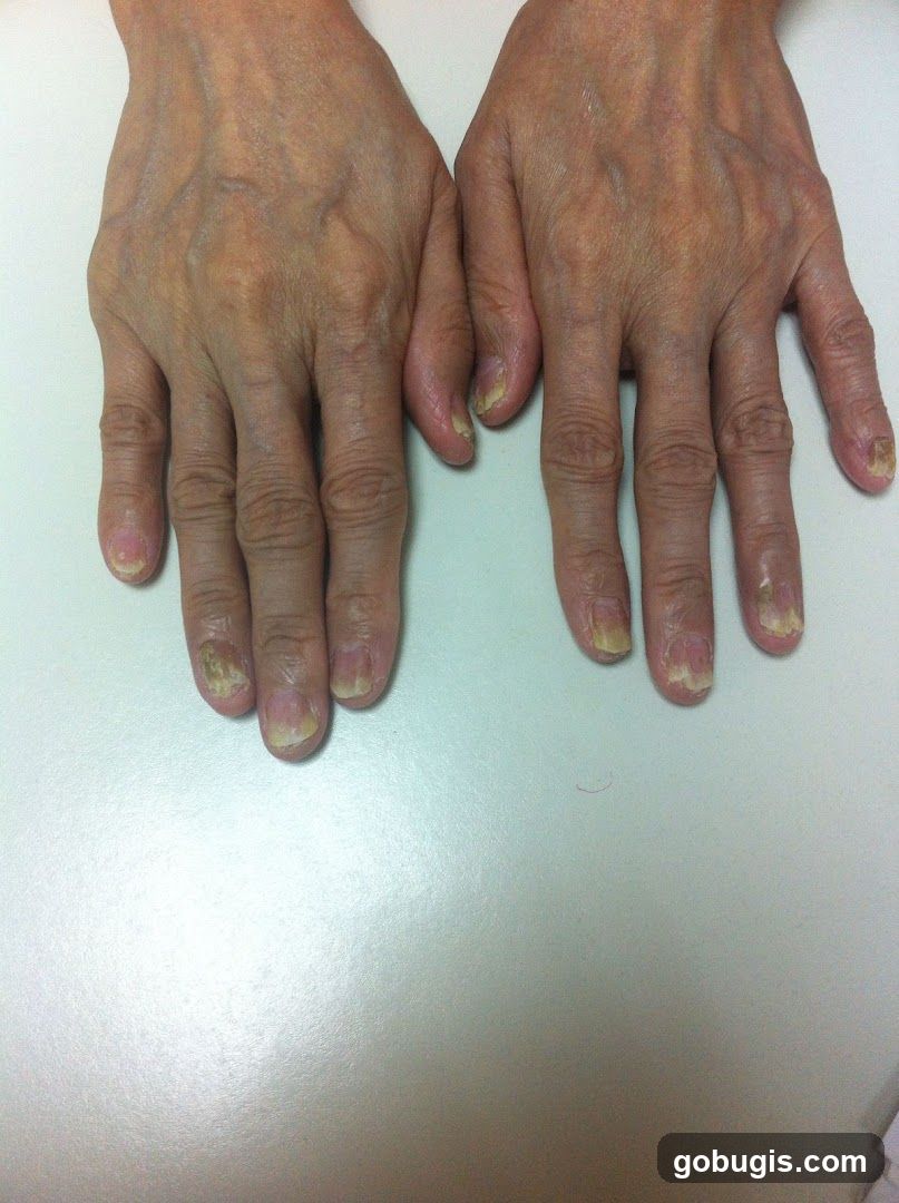 Everlasting Chinese Herbs & Acupuncture Centre