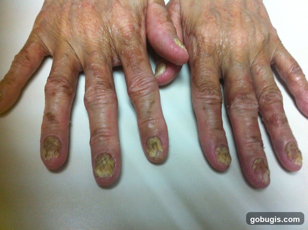 Everlasting Chinese Herbs & Acupuncture Centre