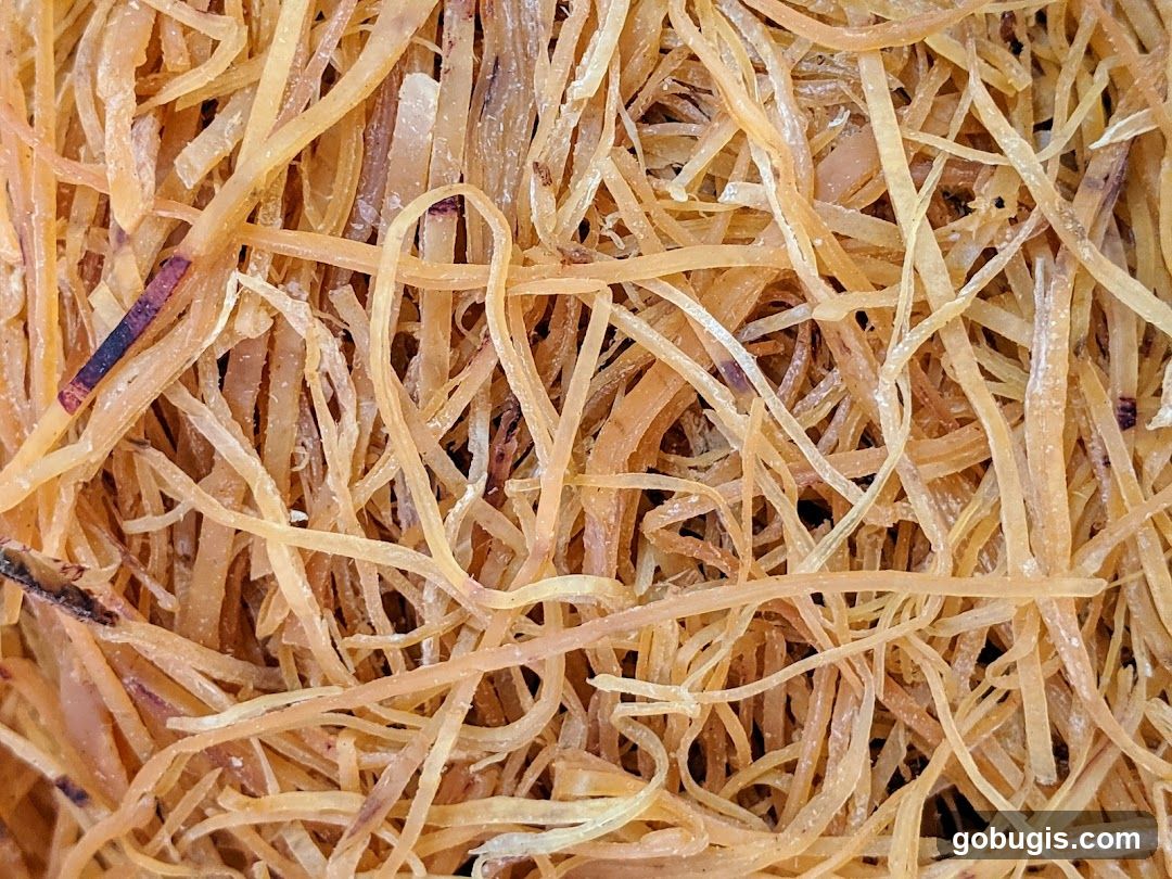 Dried Shredded Squid