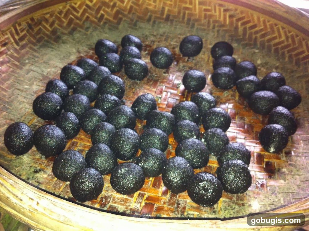 Black Balls in Basket