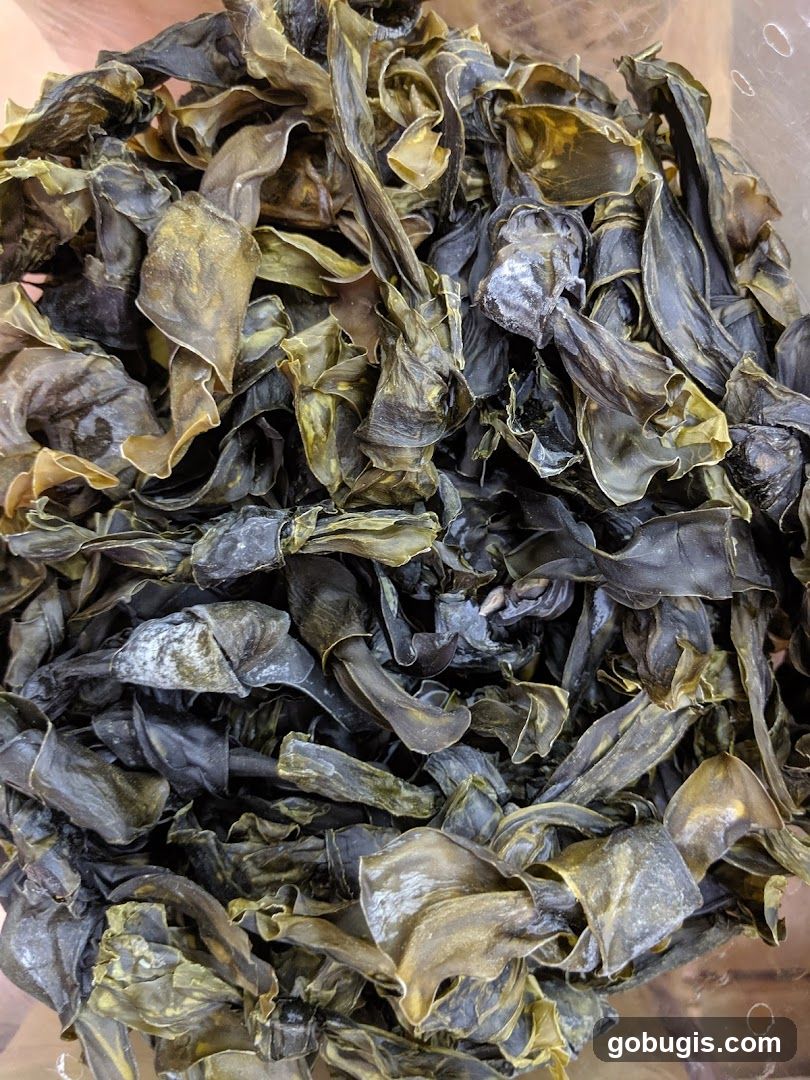 Dried Seaweed