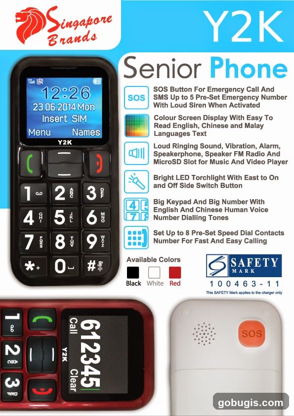Y2K Senior Phone Advertisement
