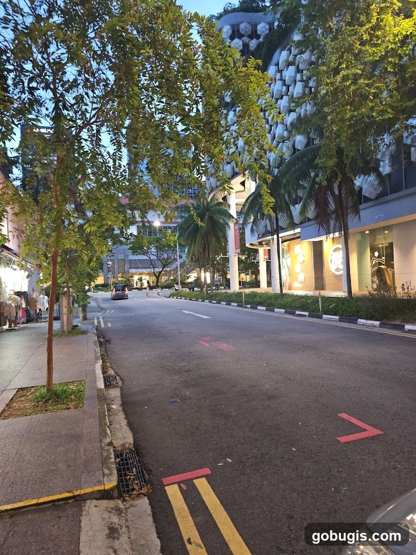 Street Scene with Modern Architecture