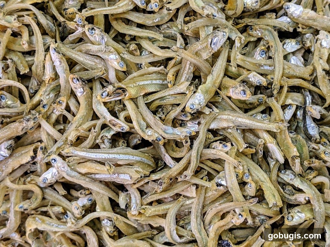 Dried Fish