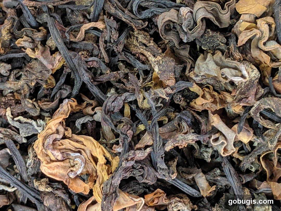 Dried Tea Leaves