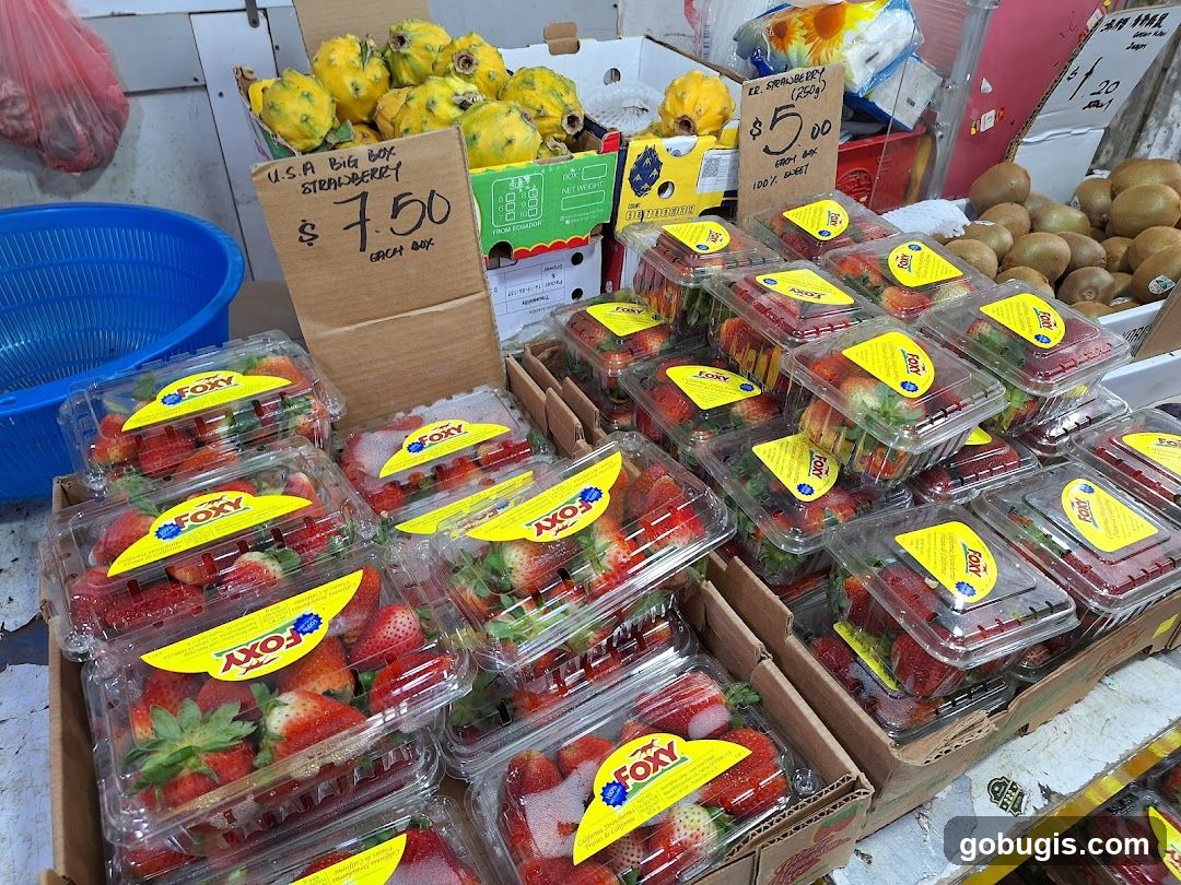 LIAN HUA CHUN FRUITS