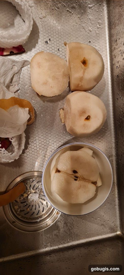 LIAN HUA CHUN FRUITS