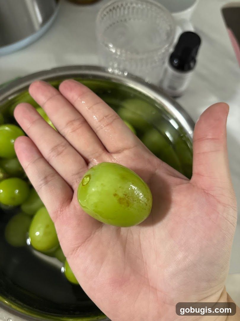 LIAN HUA CHUN FRUITS